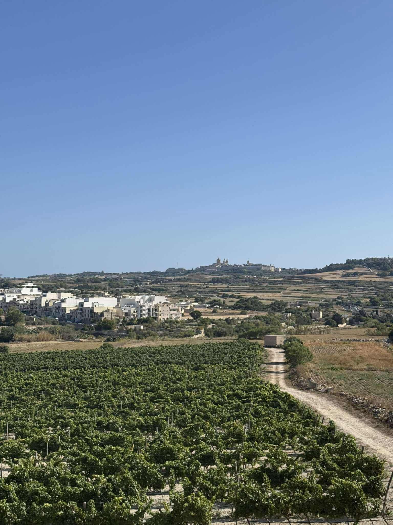 Apartment in Mosta - thumbnail 4