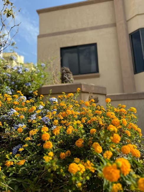 House in St Julians - Photo 1 of 15