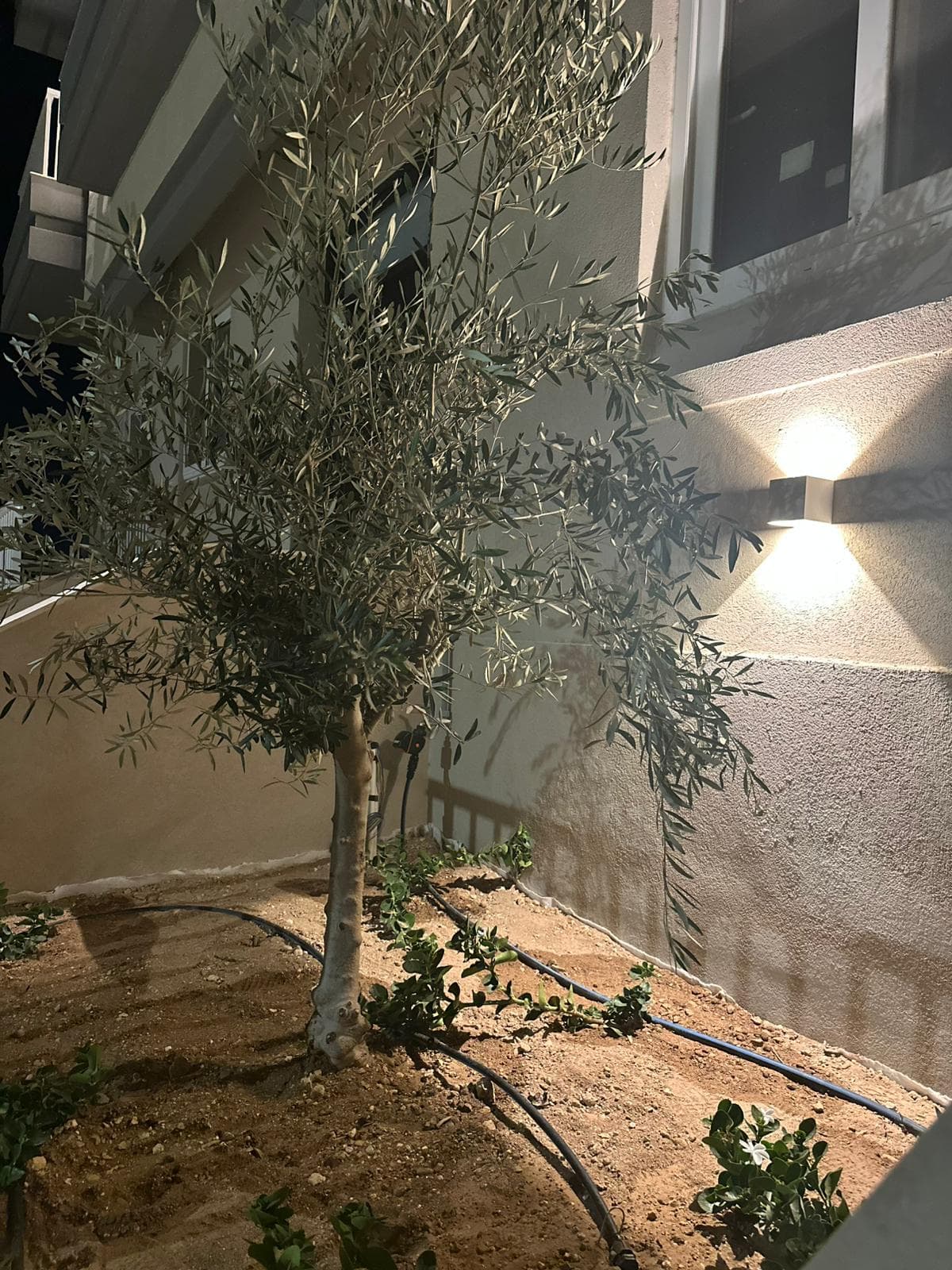 Two Bedroom Maisonette with a Walk-in Wardrobe in Birkirkara  - thumbnail 3