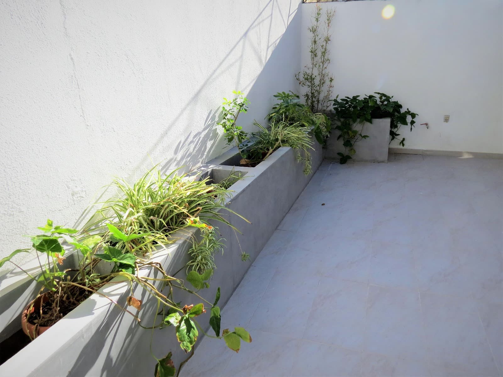 Maisonette in Ta xbiex - thumbnail 4